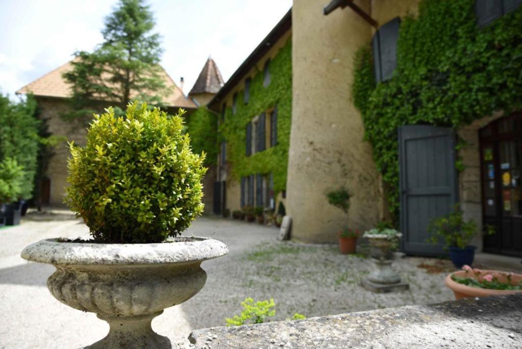 Chateau De Passieres Chichilianne Eksteriør billede